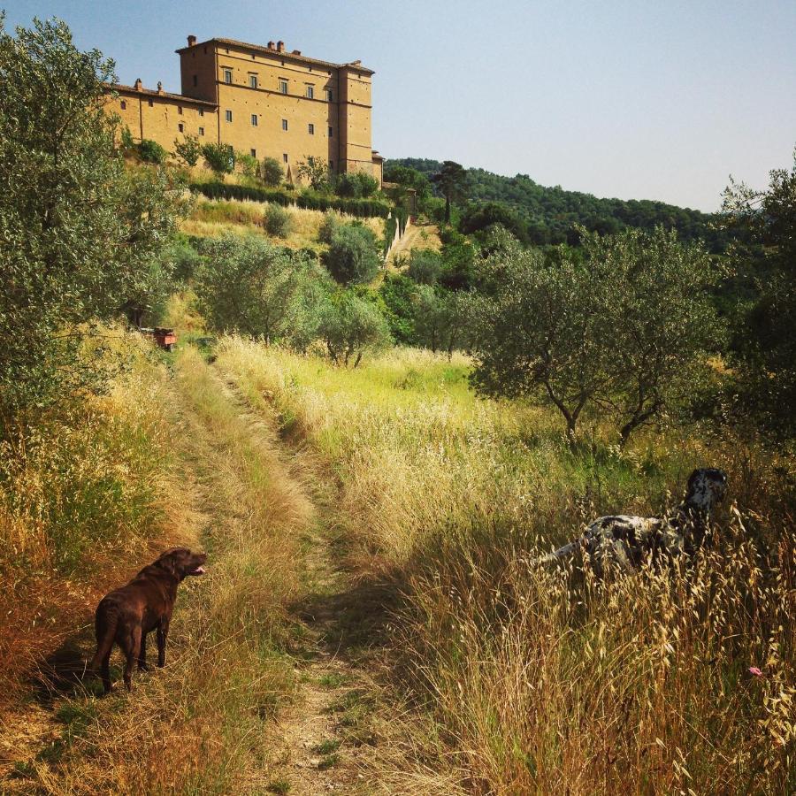 Castello Di Potentino Seggiano ภายนอก รูปภาพ