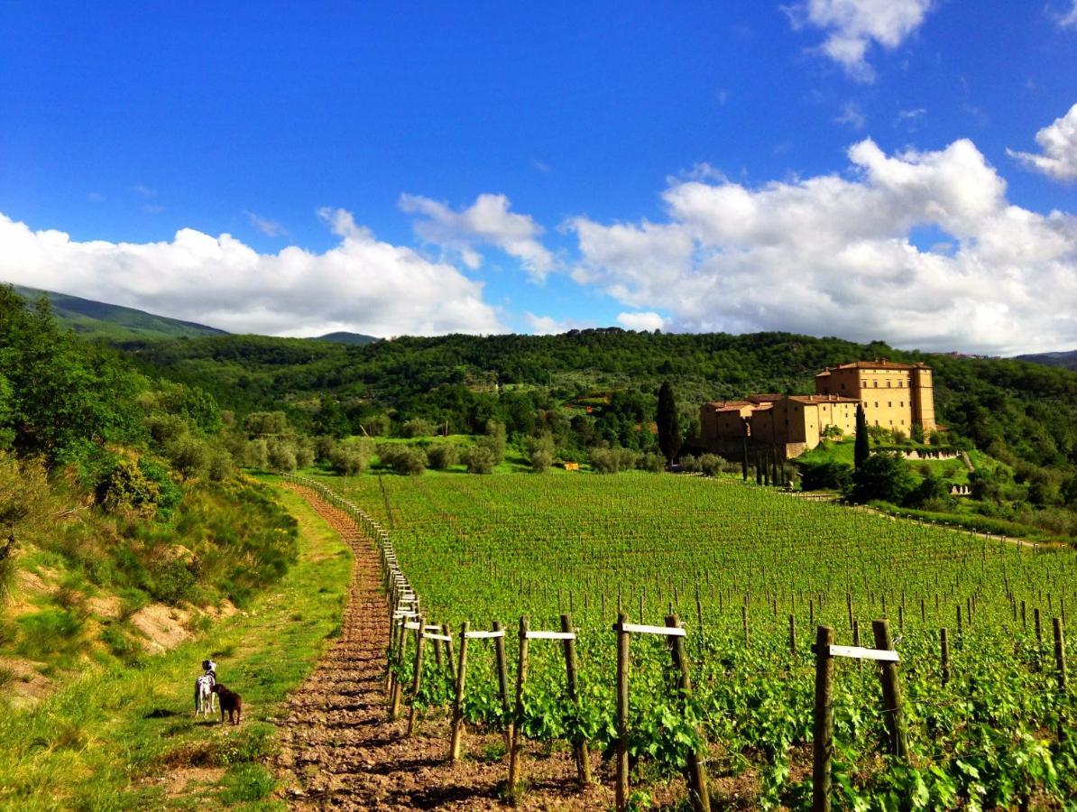 Castello Di Potentino Seggiano ภายนอก รูปภาพ